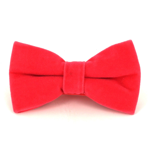 Laço Liso Veludo Coral