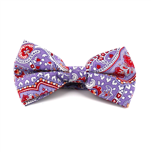 Laço Paisley Violeta