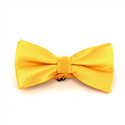 Laço Amarelo Pontos Brilhantes