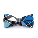 Laço Xadrez Azul e Branco