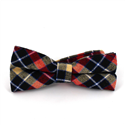 Laço Xadrez Escocês Multicolorido