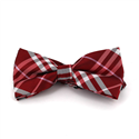Laço Xadrez Escocês Vermelho