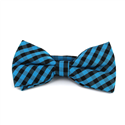 Laço Xadrez Vichy Azul e Preto