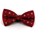 Laço Flores Vermelho