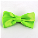 Laço Liso de Seda Verde