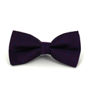 Laço Roxo com Bolinhas Azuis