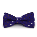 Laço Roxo de Bolinhas Multicoloridas