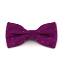 Laço Roxo Pontos Brilhantes