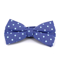 Laço Oxford Lunares Azul