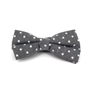Laço Oxford Lunares Cinzento