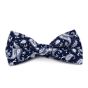 Laço Paisley Azul e Branco