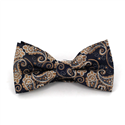 Laço Paisley Azul e Dourado