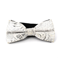 Laço Paisley Brilho Branco