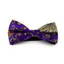 Laço Paisley Brilho Roxo