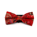 Laço Paisley Brilho Vermelho