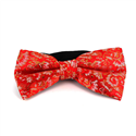 Laço Paisley Brilho Vermelho