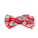 Laço Paisley Vermelho