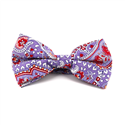 Laço Paisley Violeta