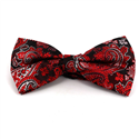 Laço Paisley XL Vermelho