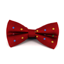 Laço Vermelho Lunares Multicoloridos