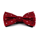 Laço Vermelho Lunares Multicoloridos