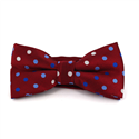 Laço Vermelho Lunares Multicolor