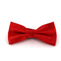 Laço Vermelho Pontos Brilhantes
