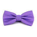 Laço Roxo com Pontos Brancos