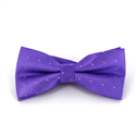 Laço Roxo Pontos Brilhantes